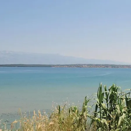 In Privlaka/zadar Riviera 7894 Апартаменты