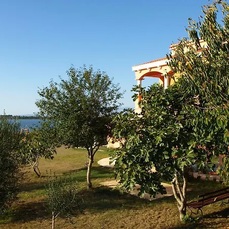 In Privlaka/zadar Riviera 7894