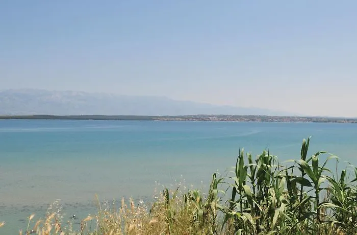 In - Zadar Riviera 7894 Апартаменты