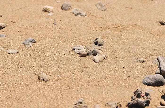 In - Zadar Riviera 7894